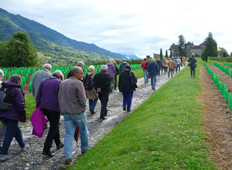 La belle allée menant vers le château de Bayard